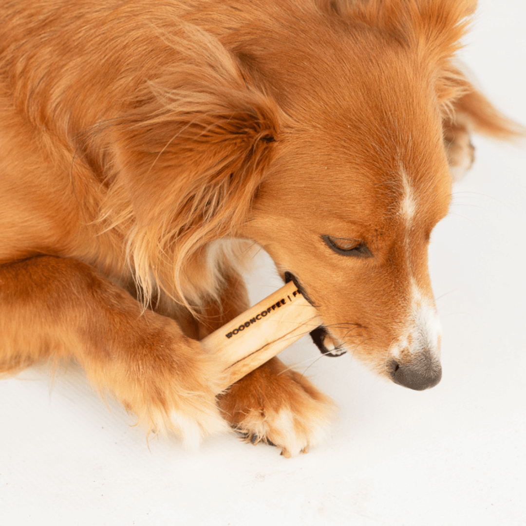 Mordedor Sustentável de Madeira Stick Wood N'Pets