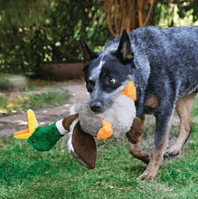 Carregar imagem no visualizador da galeria, Pelúcia para Cachorro Pato Shakers Honkers - Tamanho G