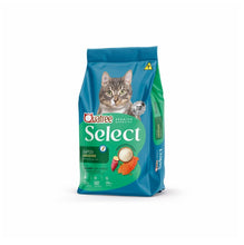 Carregar imagem no visualizador da galeria, Ração Quatree Select para Gatos Adultos Sabor Salmão e Arroz