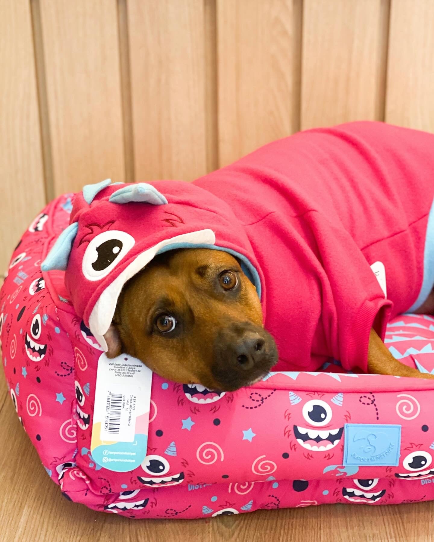 Moletom para Cachorro Monstrinho Pink