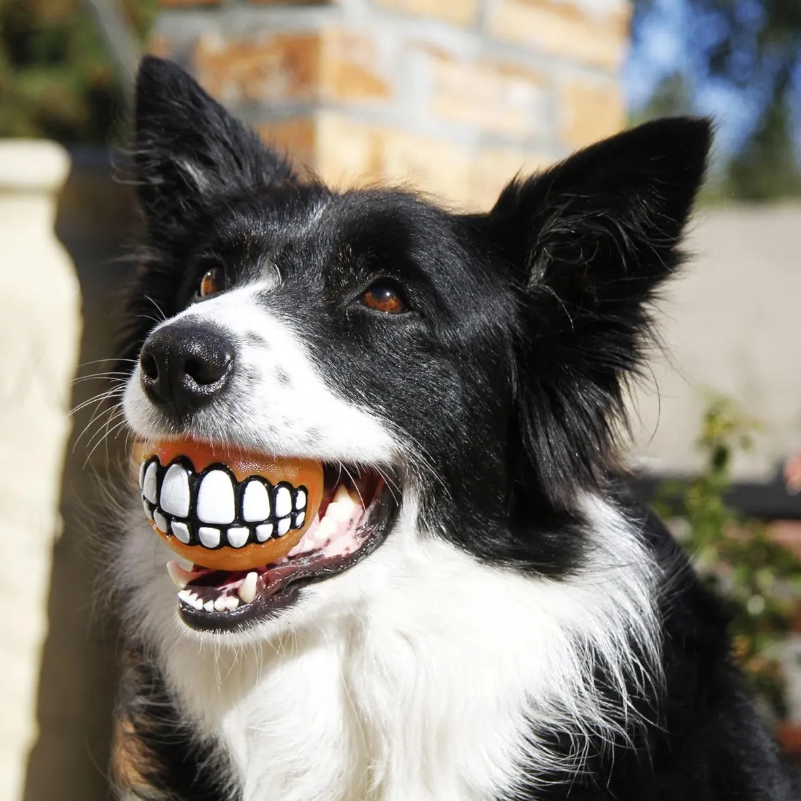 Brinquedo Kong Grinz By Rogz Bola Flutuante Cachorro Grande - Cores Sortidas