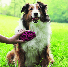 Carregar imagem no visualizador da galeria, Escova de Borracha Kong ZoomGroom Azul para Cachorro - P