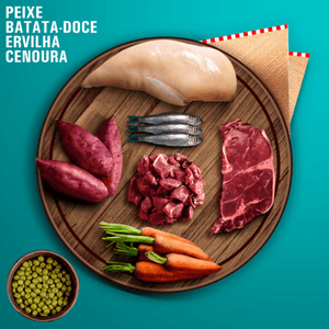 Ração Úmida Para Cães Livelong Natural Sabor Peixe Lata 300g