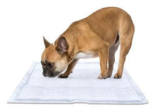 Carregar imagem no visualizador da galeria, Tapete Higiênico Mimo Pads para Cães de Porte Pequeno 60x55cm - 30 unidades