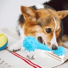 Carregar imagem no visualizador da galeria, Brinquedo para Cachorro Halteres