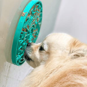 Brinquedo Tapete de Lamber  Pet Games Labirinto Laranja para Cães e Gatos