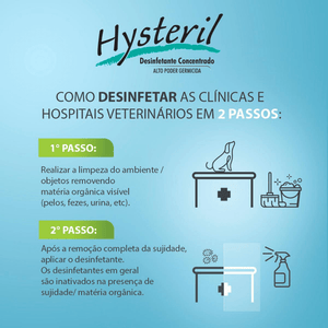 Desinfetante Hysteril Agener União - 1L