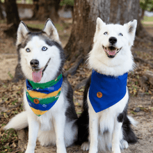 Carregar imagem no visualizador da galeria, Bandana Copa do Mundo Dupla Face Azul