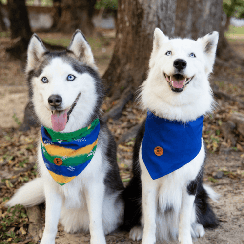 Bandana Copa do Mundo Dupla Face Azul