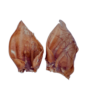 Mordedor Natural Lela Suína (Orelha Suína Desidratada) - 2 un