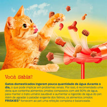 Carregar imagem no visualizador da galeria, Ração Úmida Friskies Sachê Gatos Adultos Carne ao Molho - 85g