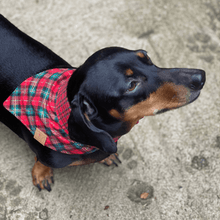 Carregar imagem no visualizador da galeria, Bandana de Natal para Cachorro Dupla Face - Estampa Xadrez