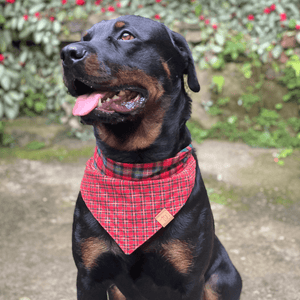 Bandana de Natal para Cachorro Dupla Face - Estampa Xadrez