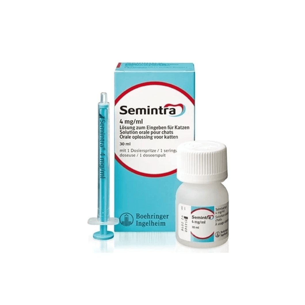 Solução Oral Semintra Para Gatos 30ml