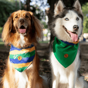 Bandana Copa do Mundo Dupla Face Verde