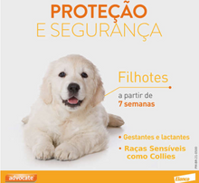 Carregar imagem no visualizador da galeria, Antipulgas Advocate para Cães entre 4 e 10kg 1,0ml