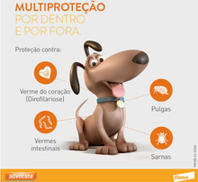 Carregar imagem no visualizador da galeria, Antipulgas Advocate para Cães entre 4 e 10kg 1,0ml