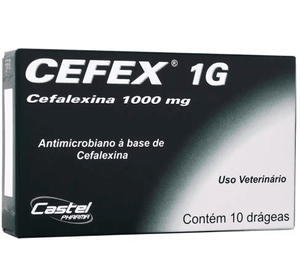 Antibiótico Castel Pharma Cefex 1000 mg - Petily