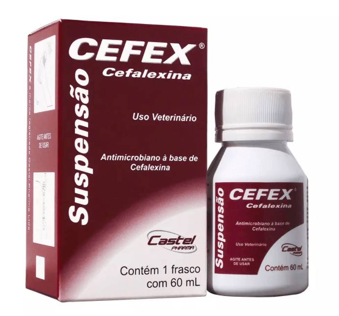 Cefex Suspensão Cefalexina 60ml - Petily