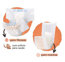 Carregar imagem no visualizador da galeria, Fralda Higiênica Descartável Mimo Diaper para Cães Machos com 12 Unidades - Tamanho G