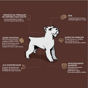 Ração Quatree Supreme para Cães Sênior de Raças Pequenas Sabor Salmão e Frango - 3kg
