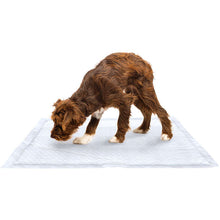 Carregar imagem no visualizador da galeria, Tapete Higiênico Mimo Pads para Cães de Porte Médio e Grande - 30 unidades