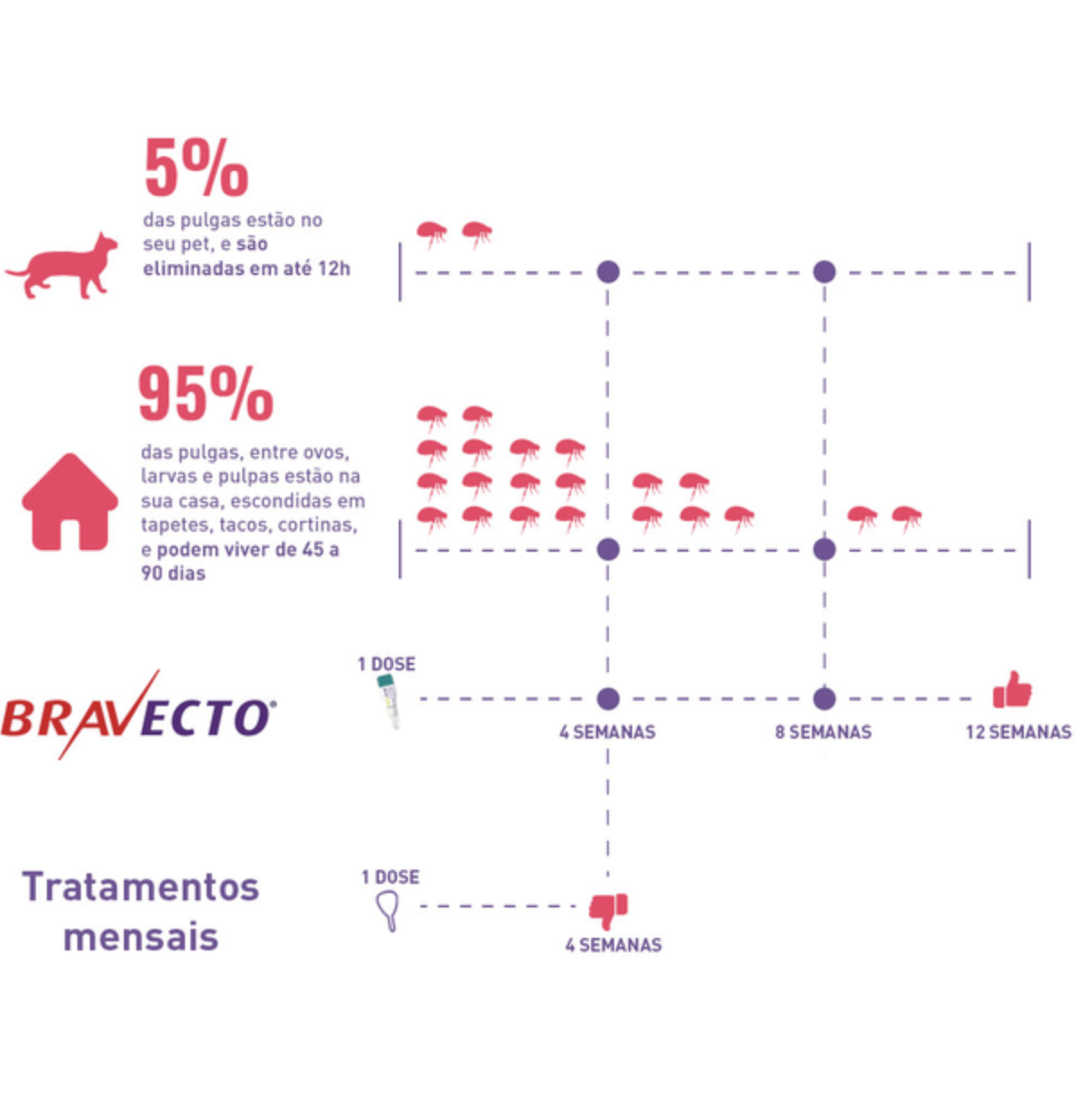 Antipulgas MSD Bravecto Transdermal Plus para Gatos de 2,8 a 6,25 Kg